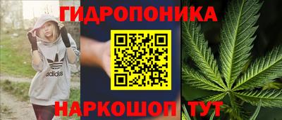 мяу мяу мука Севастополь